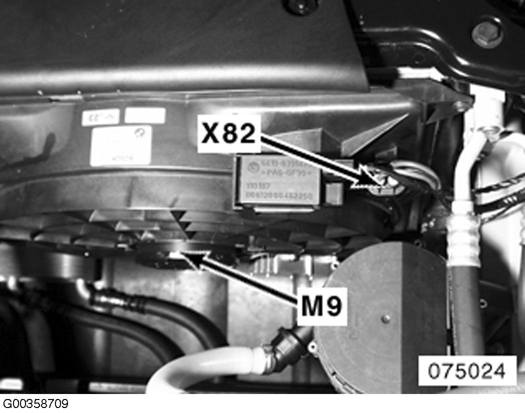 G00358709