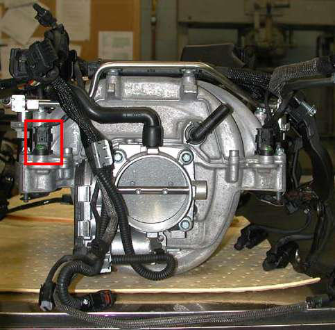 G00445254
