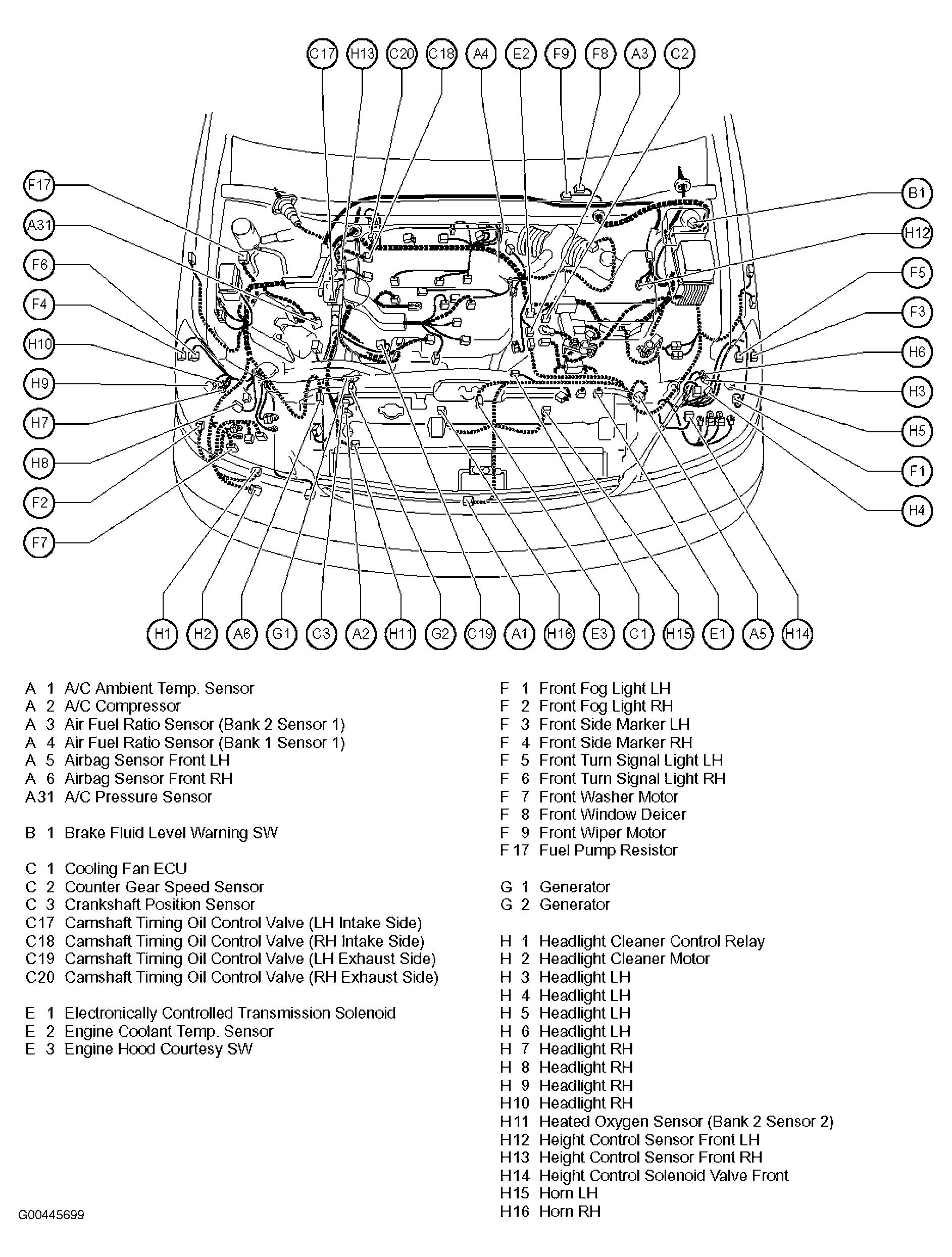 G00445699