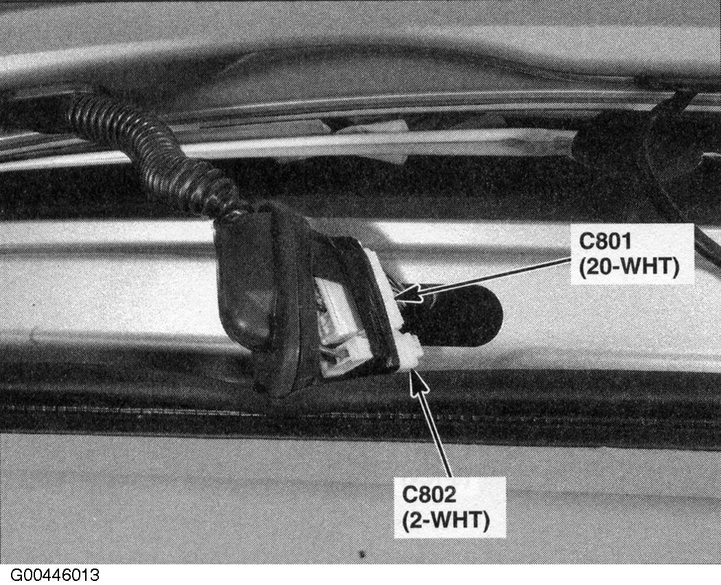 G00446013