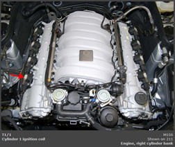 G00446687