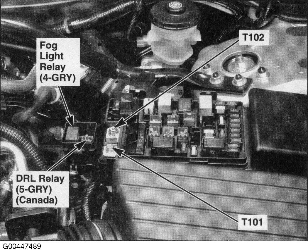 G00447489