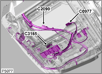 G00451066