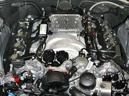 G00454781