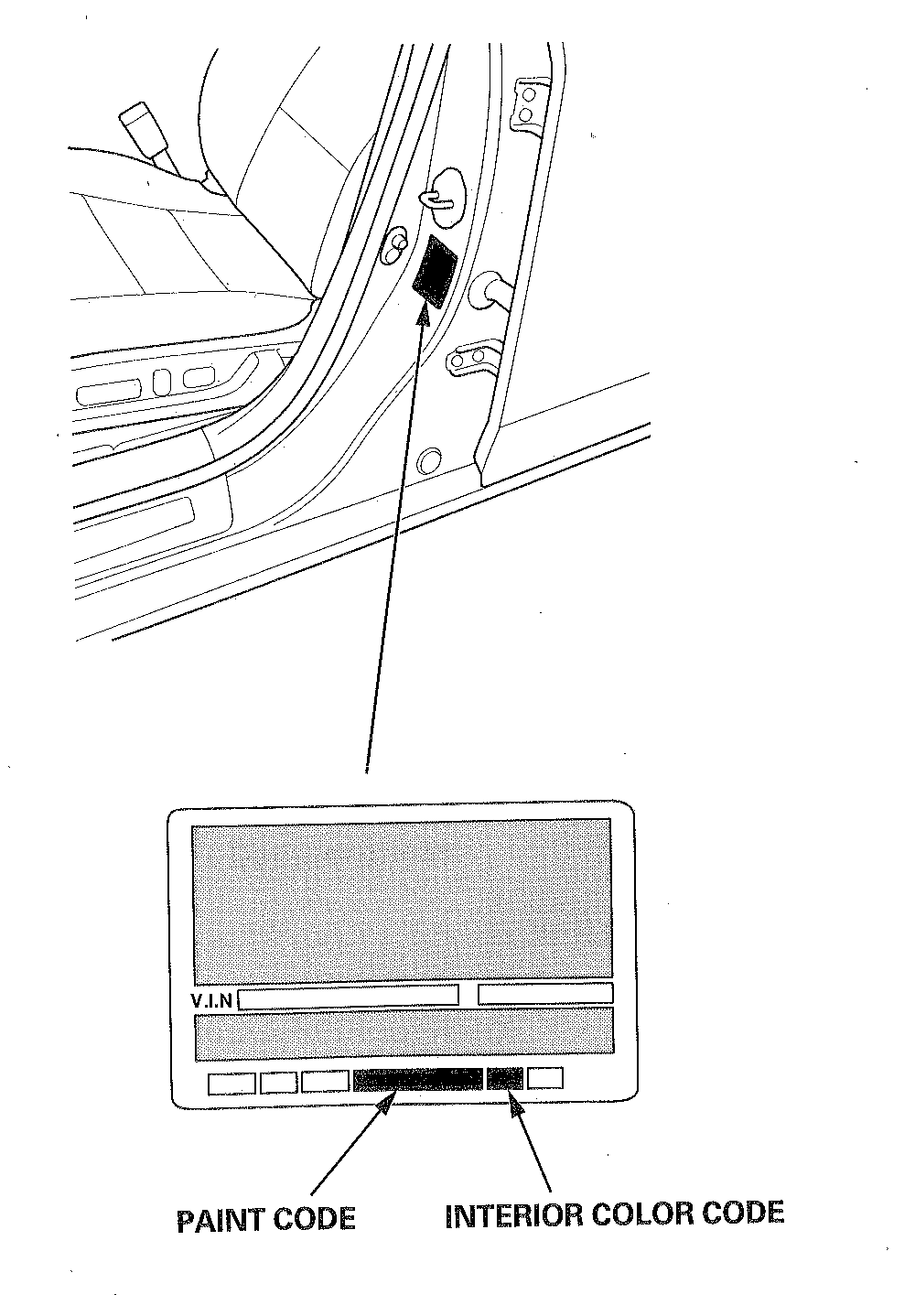 G00504538