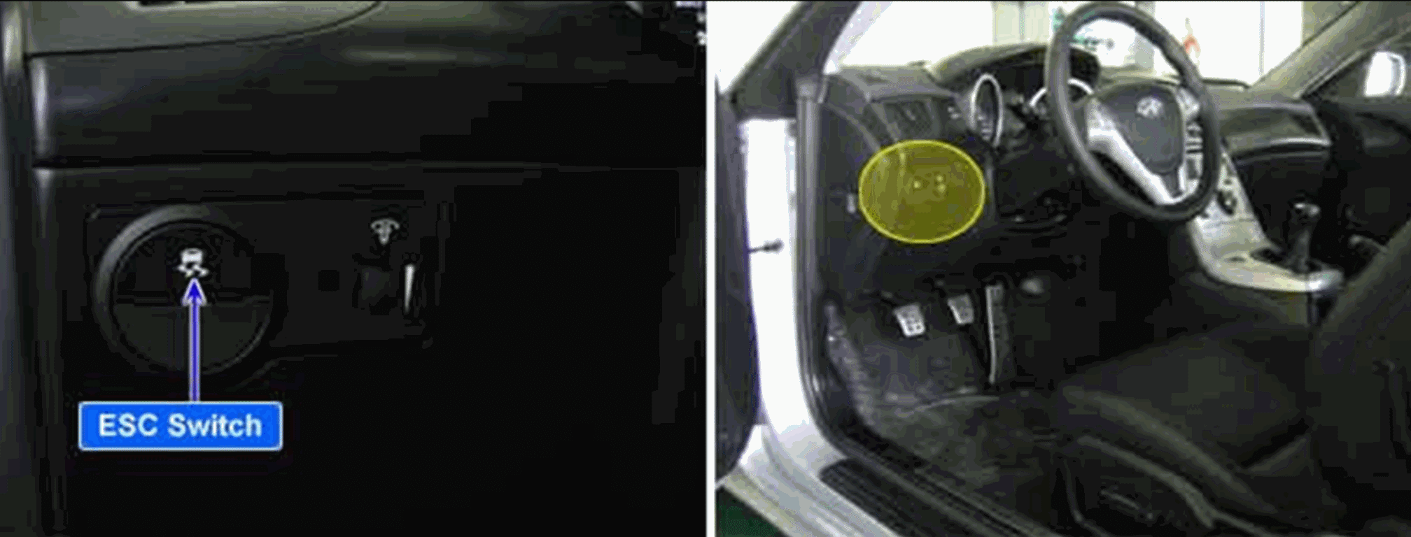 G00519548