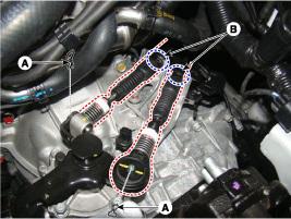 G00558364