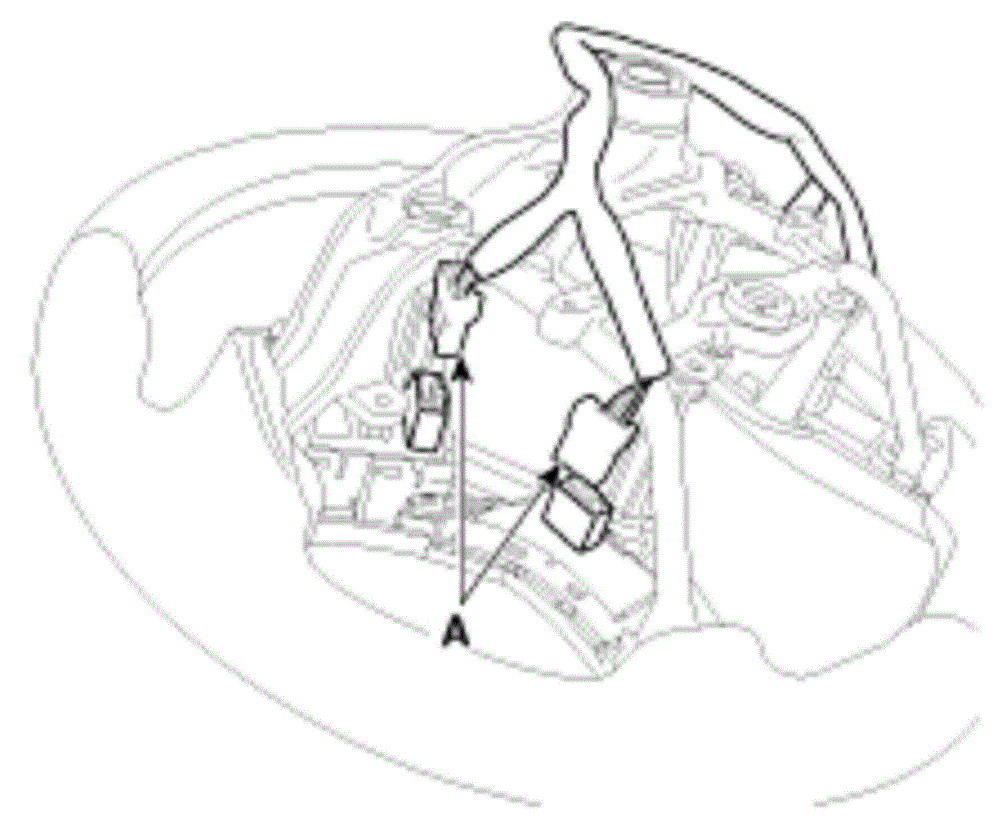G00558900