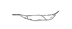 G00585672