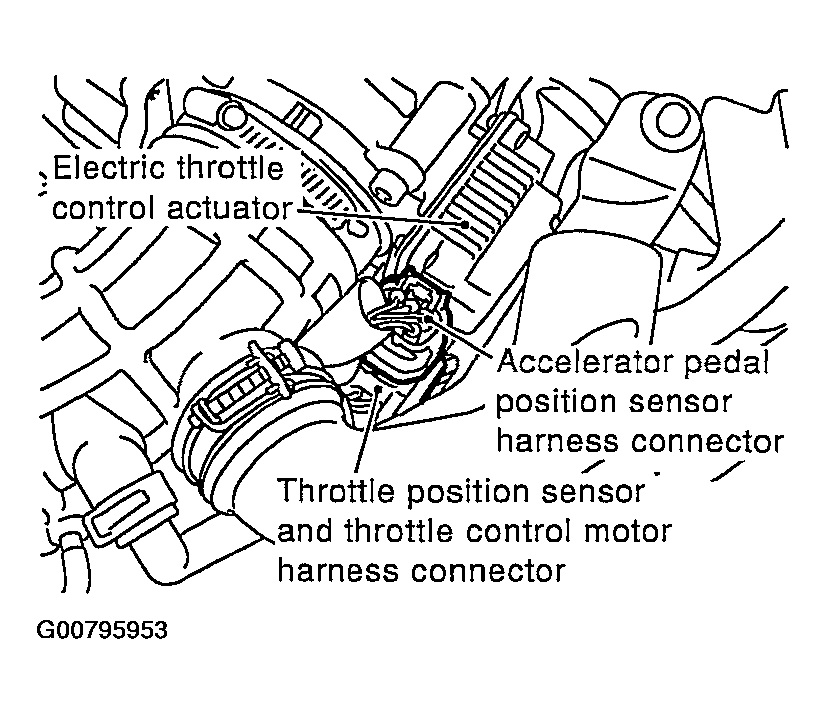 G00795953