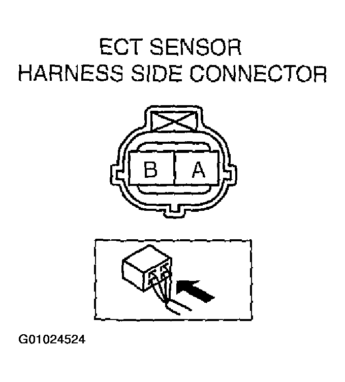 G01024524