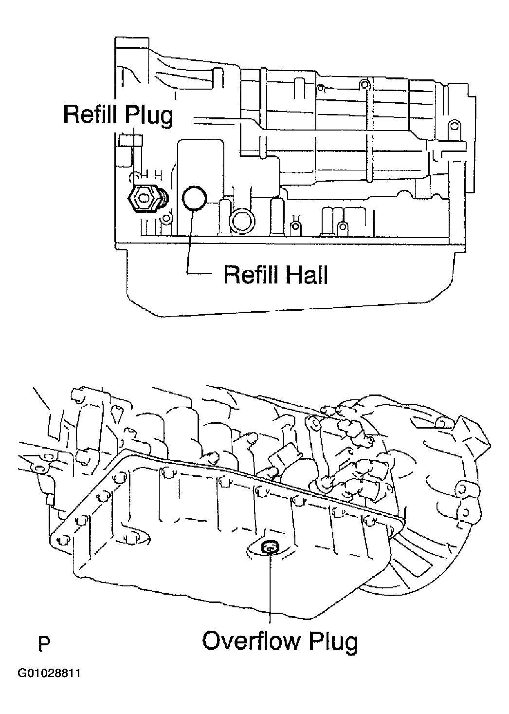 G01028811