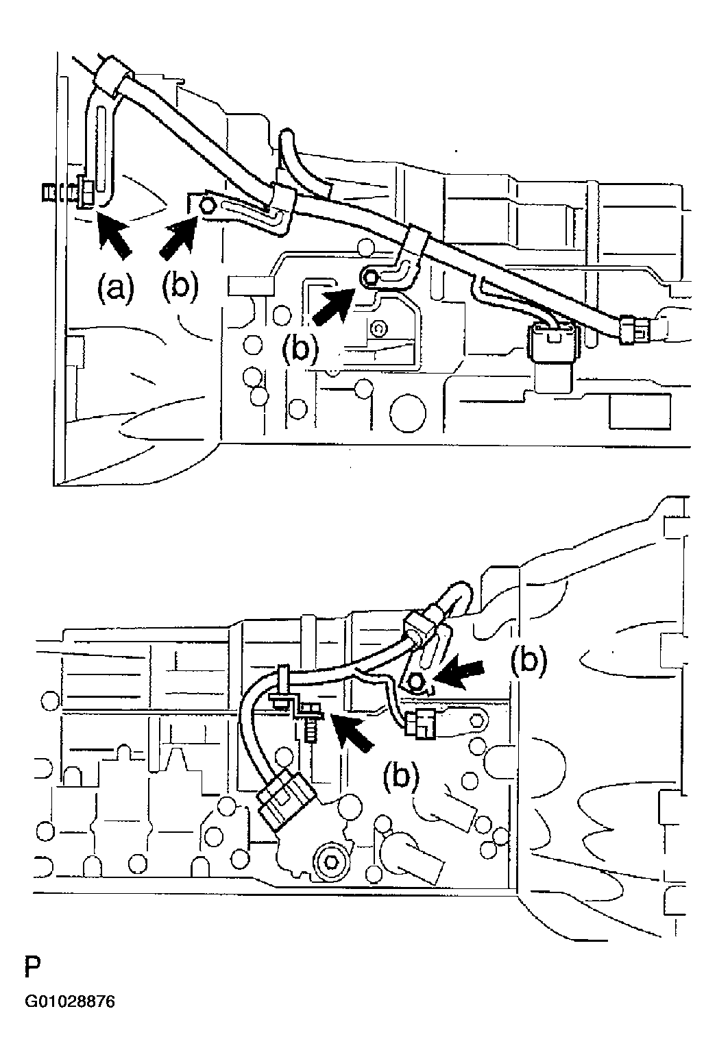 G01028876