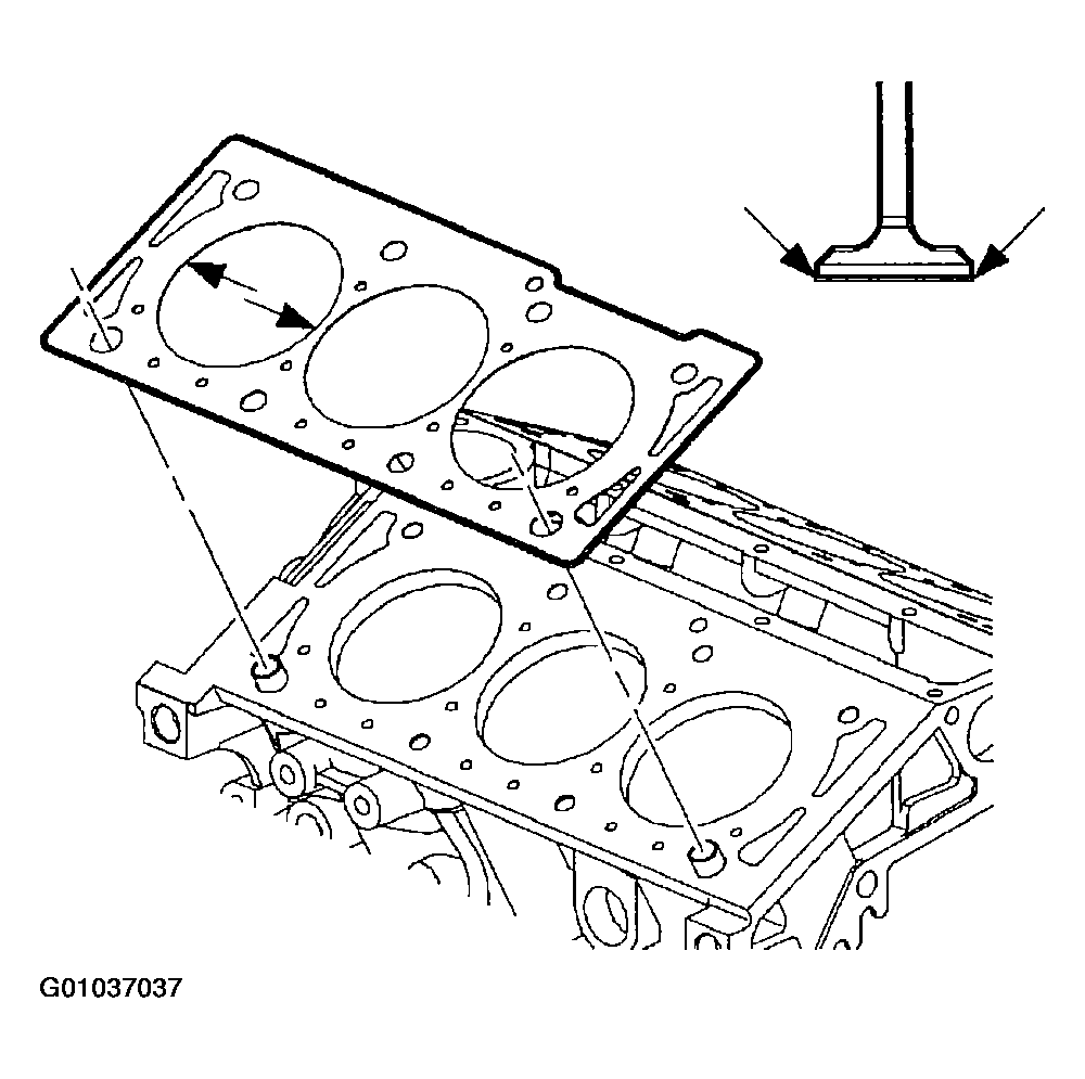 G01037037