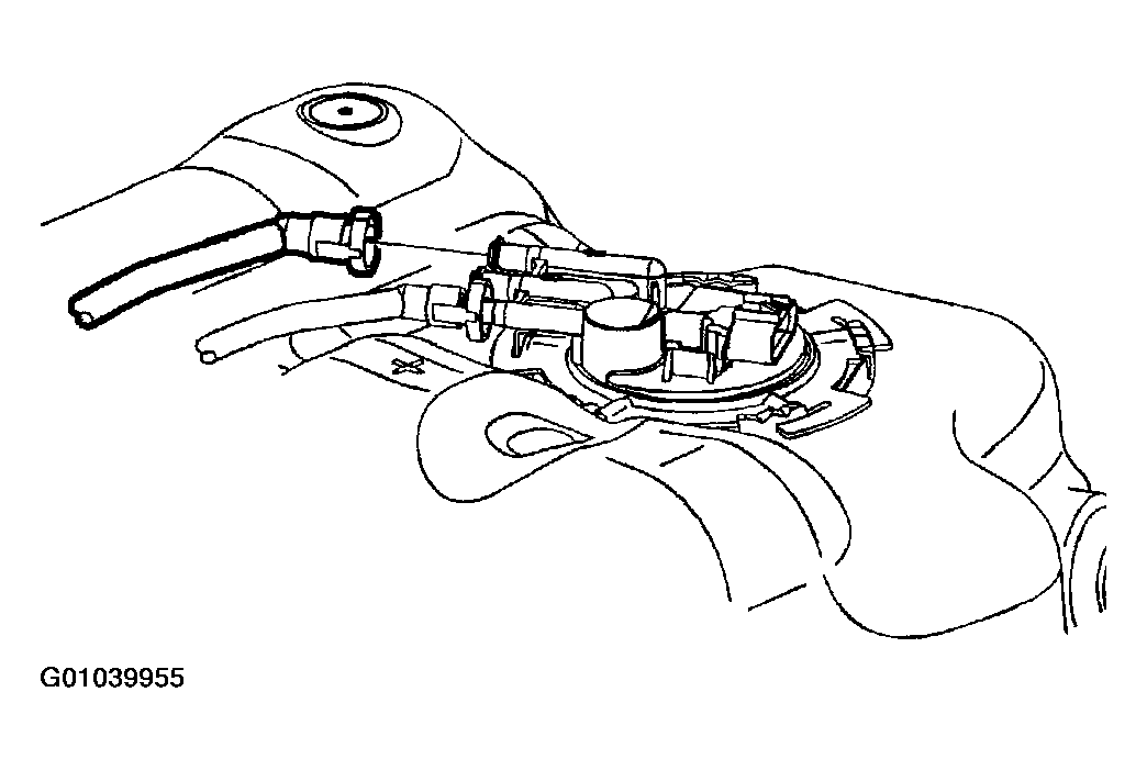 G01039955