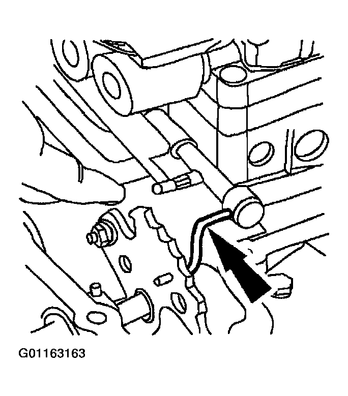 G01163163