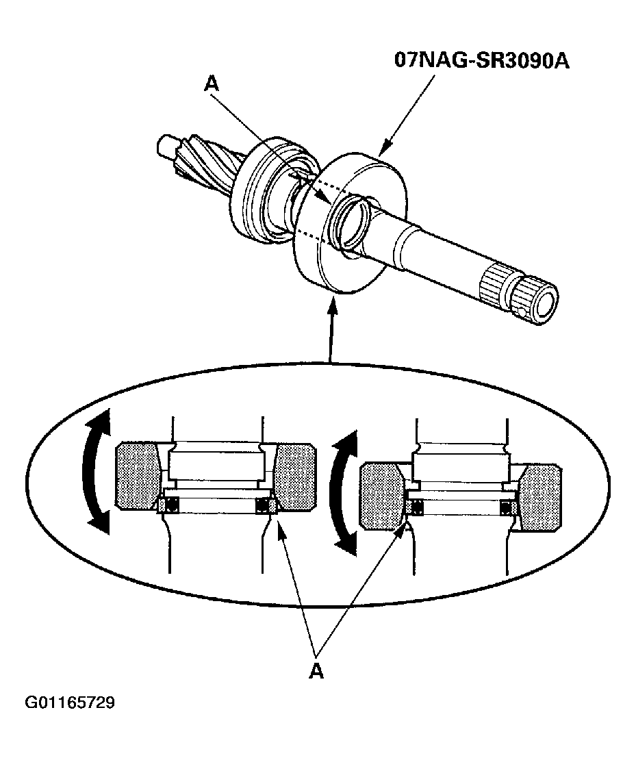 G01165729