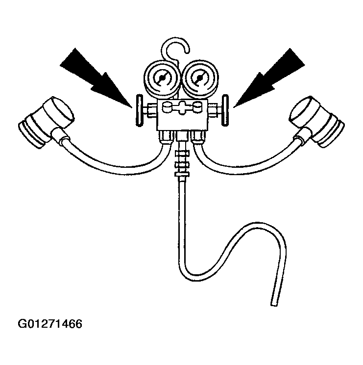 G01271466