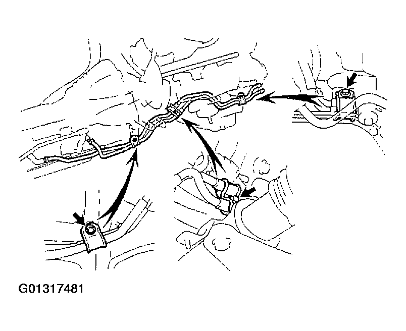 G01317481