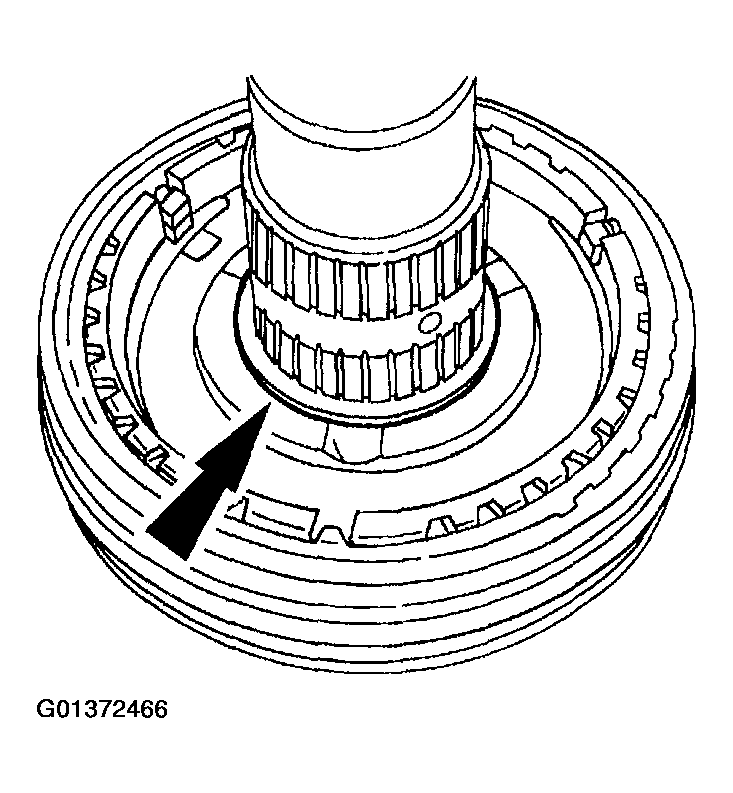 G01372466