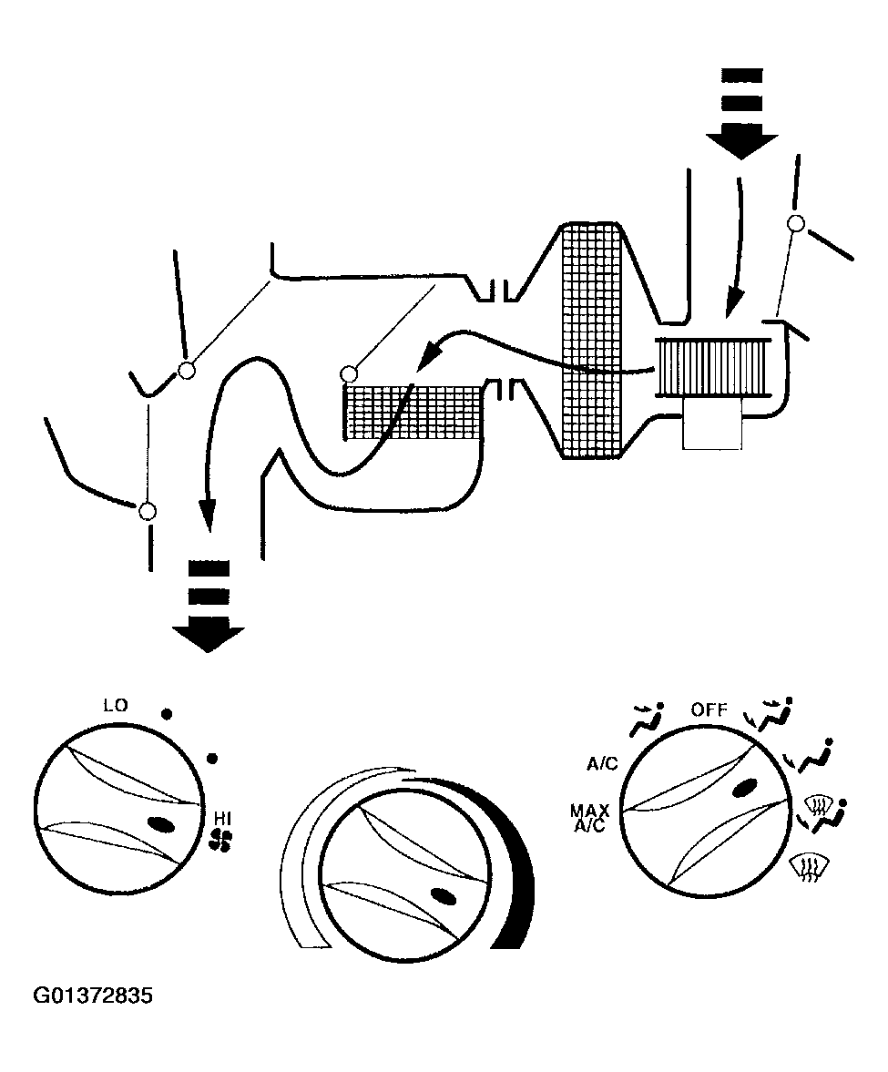 G01372835