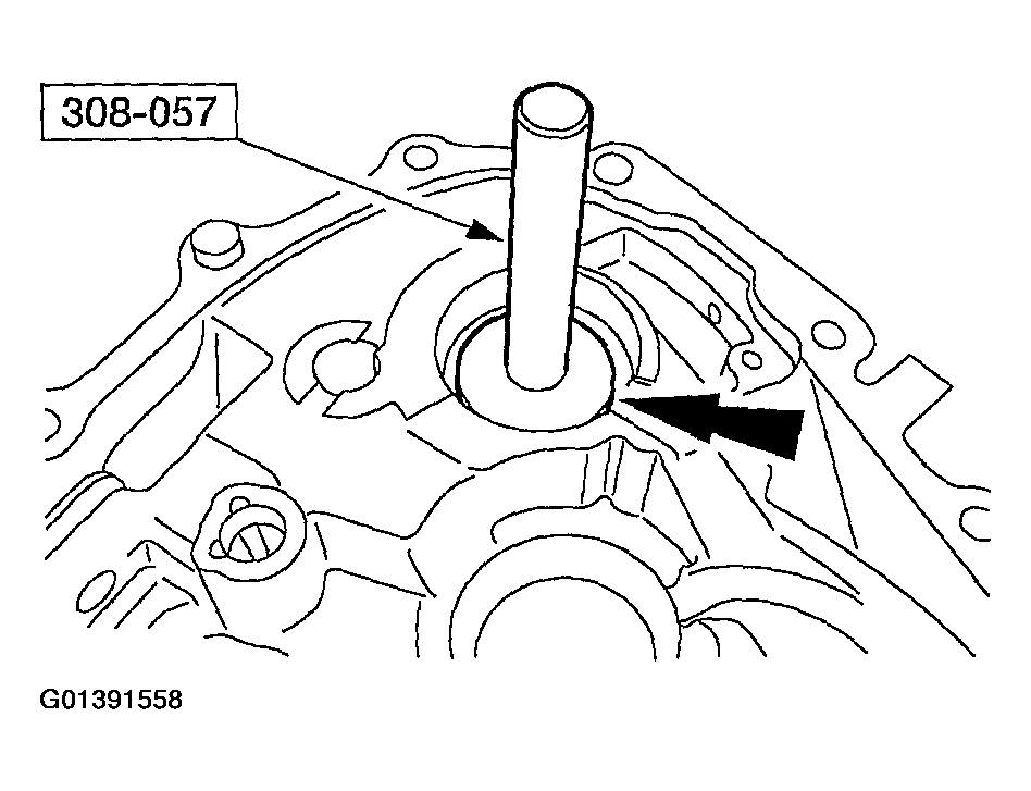 G01391558