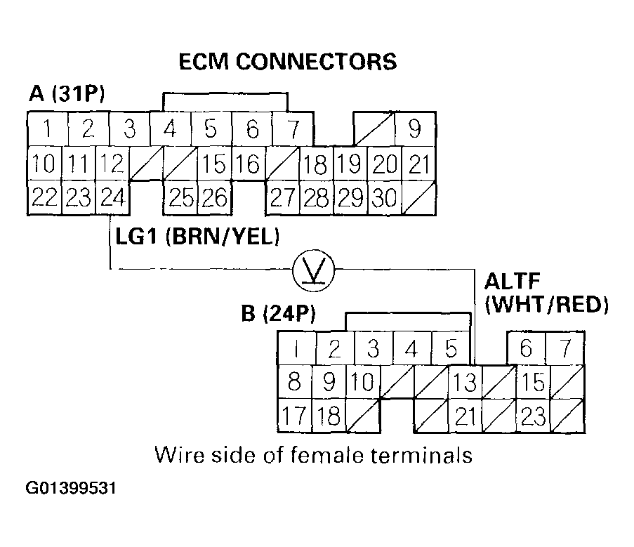 G01399531