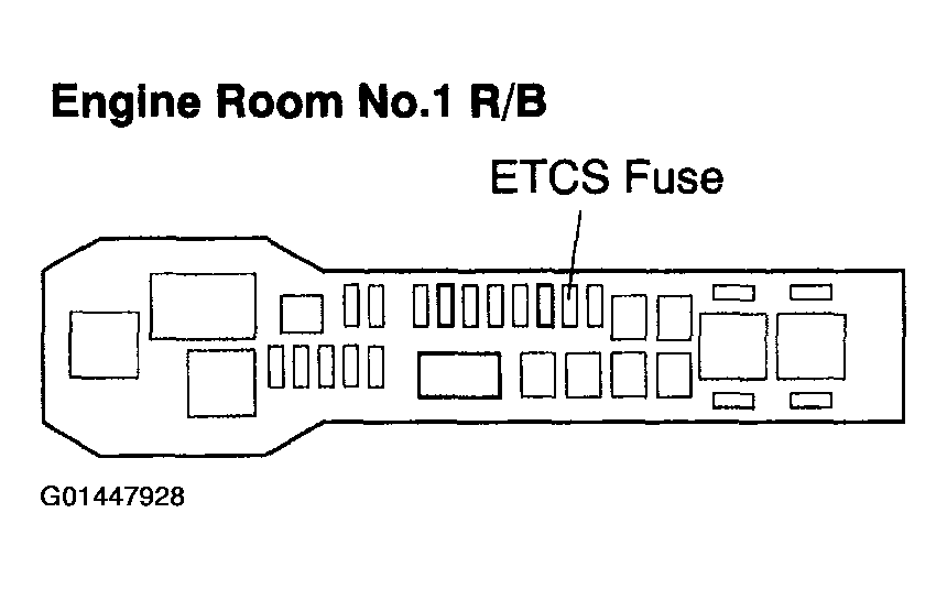 G01447928