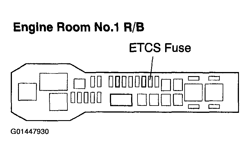 G01447930