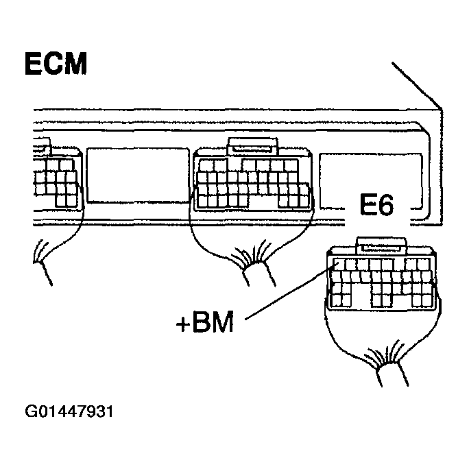 G01447931