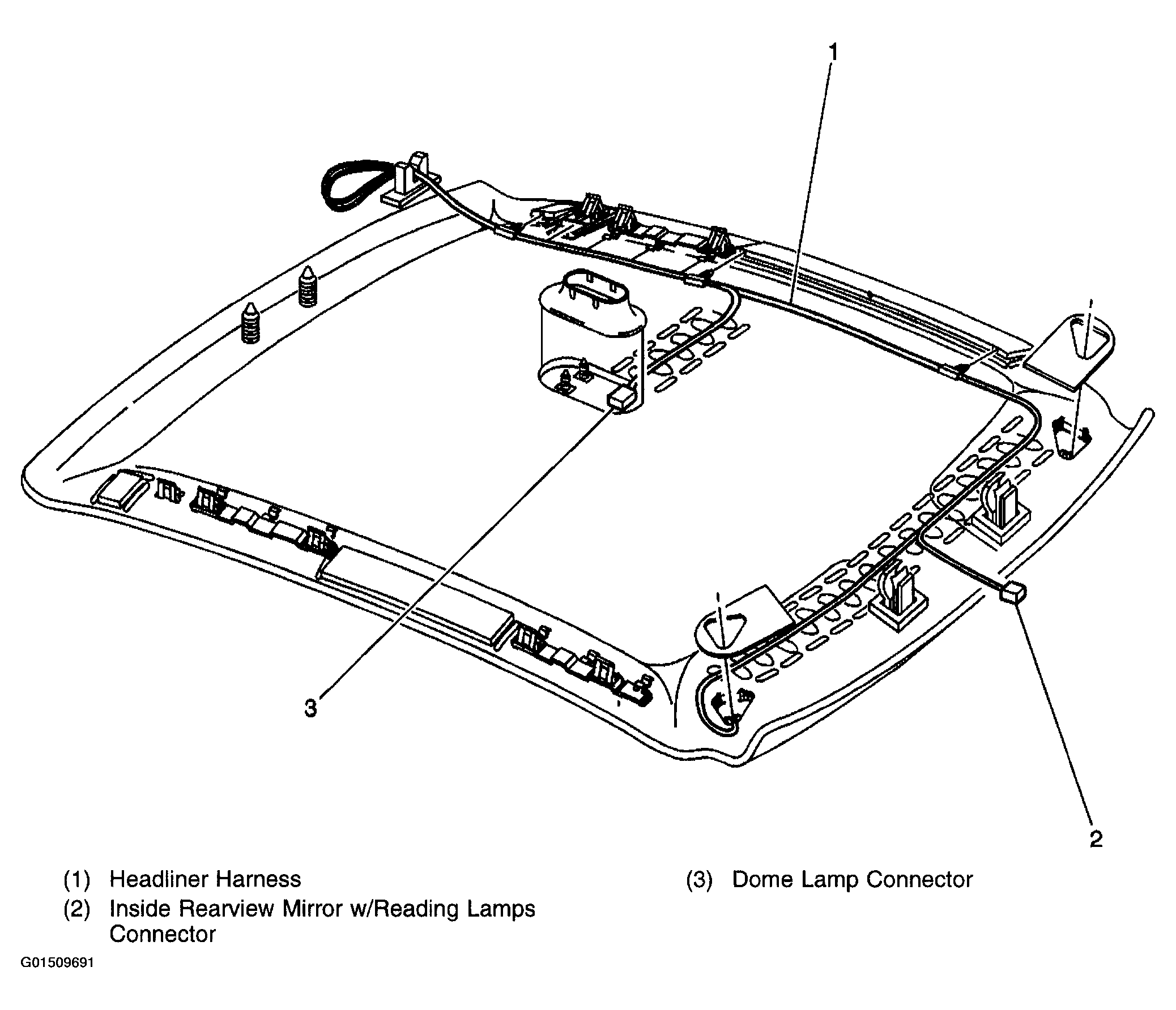G01509691