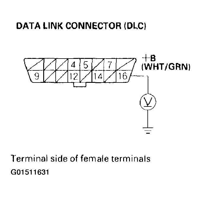 G01511631