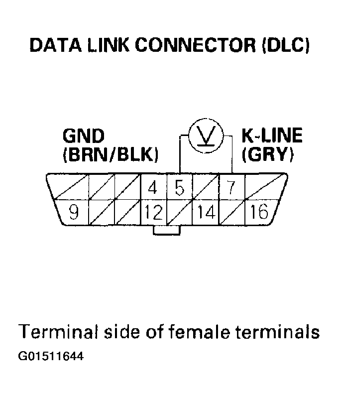 G01511644