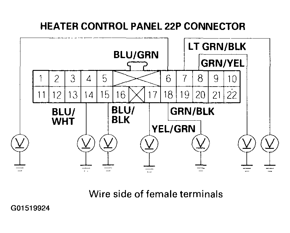 G01519924