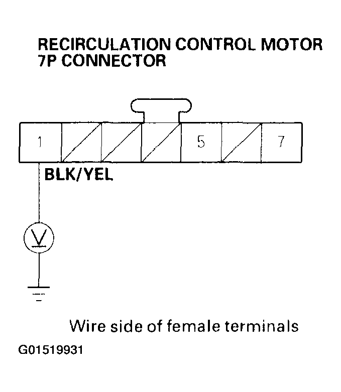 G01519931