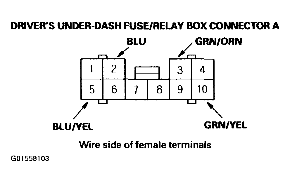 G01558103
