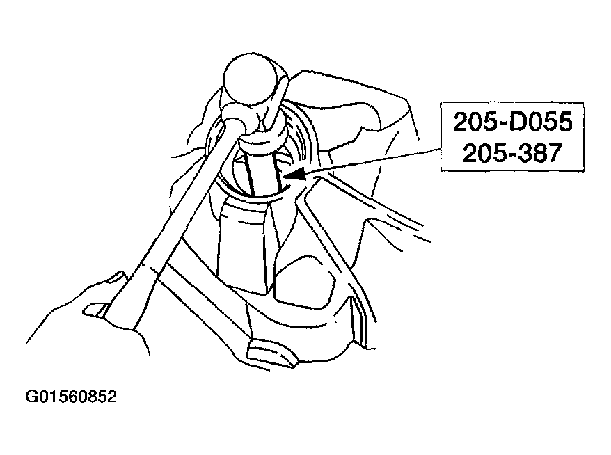 G01560852