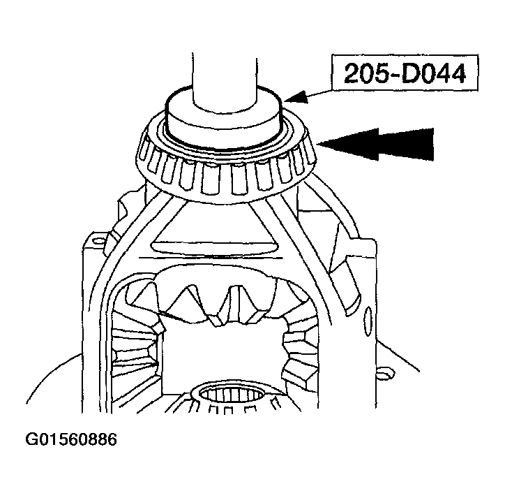 G01560886