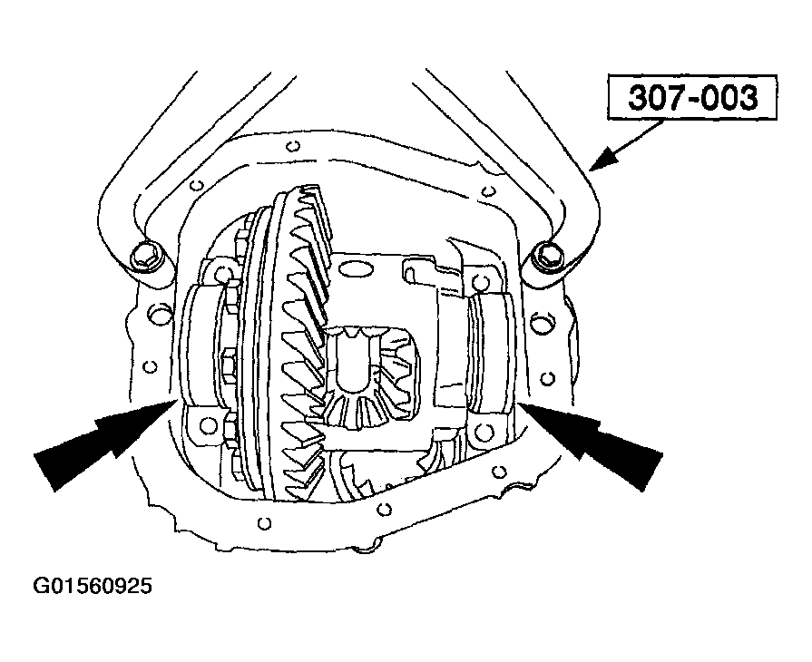 G01560925