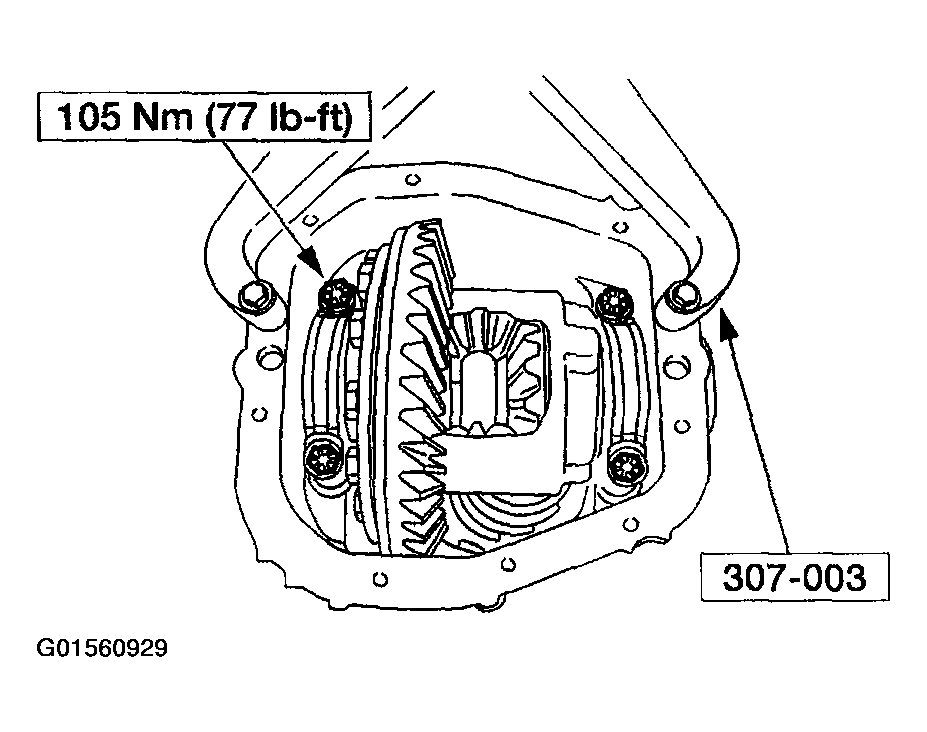 G01560929