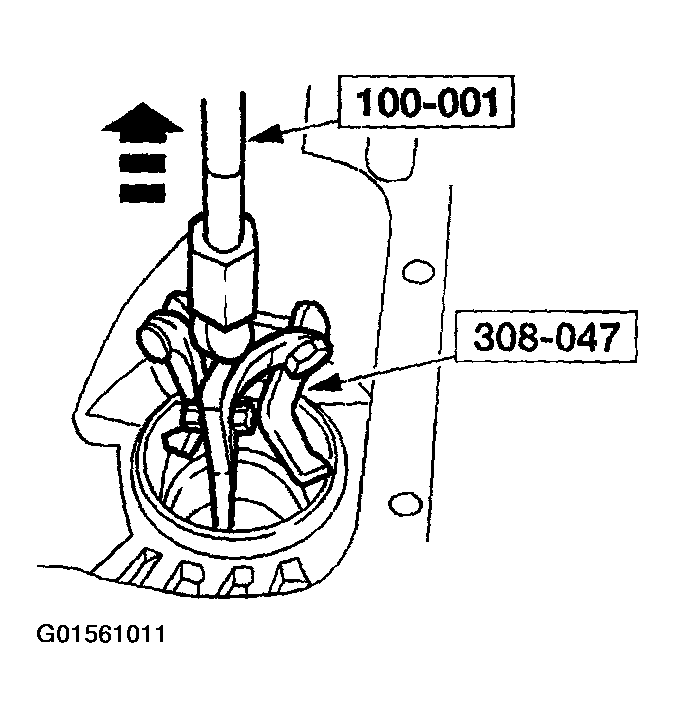 G01561011