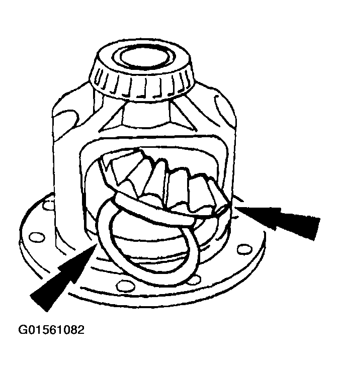 G01561082