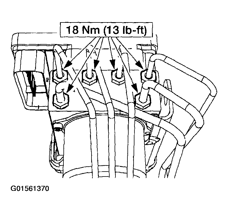 G01561370