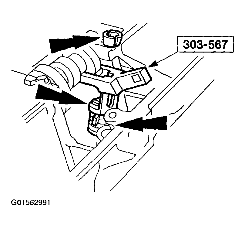 G01562991