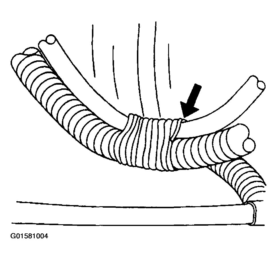 G01581004
