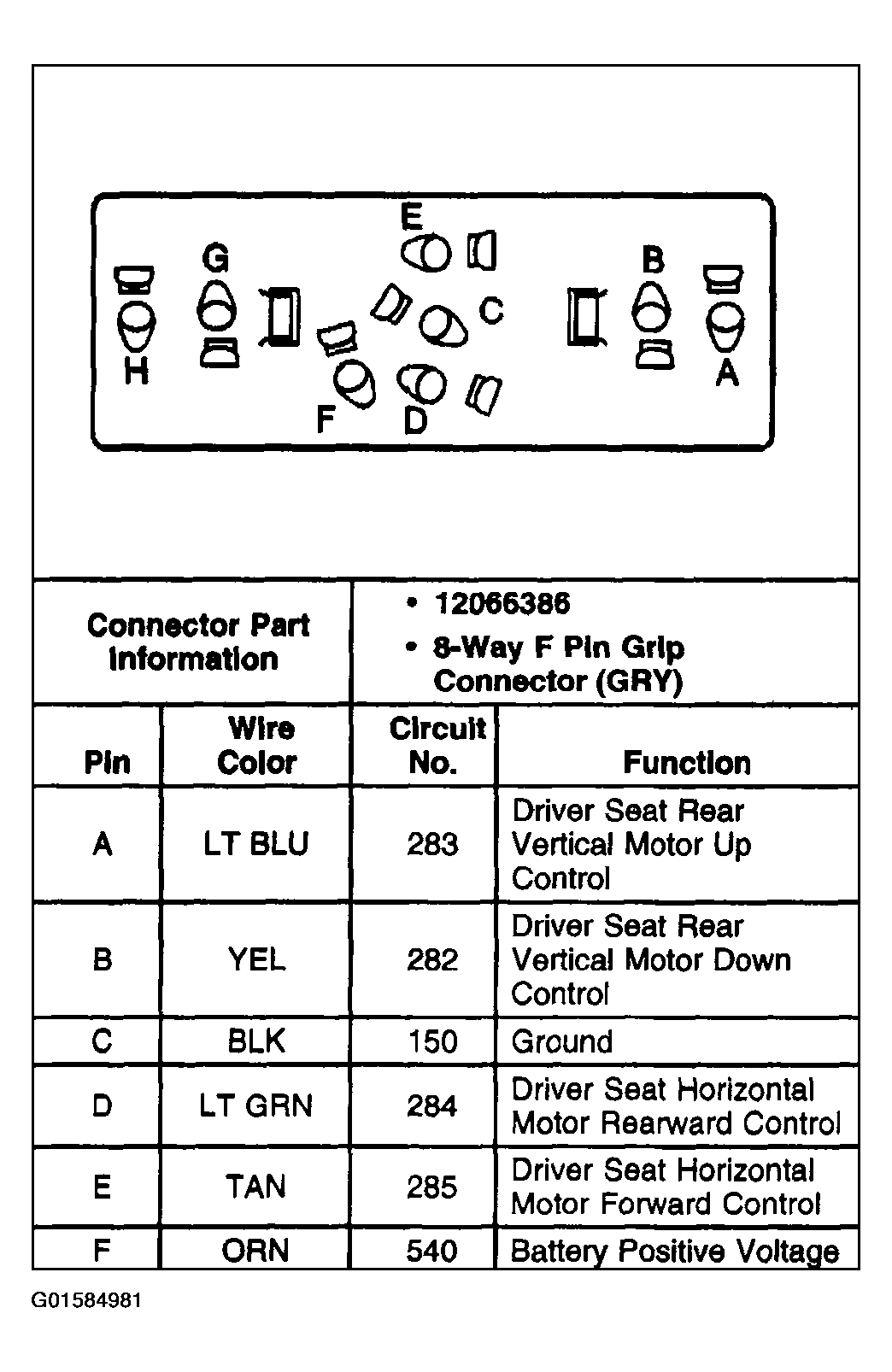 G01584981