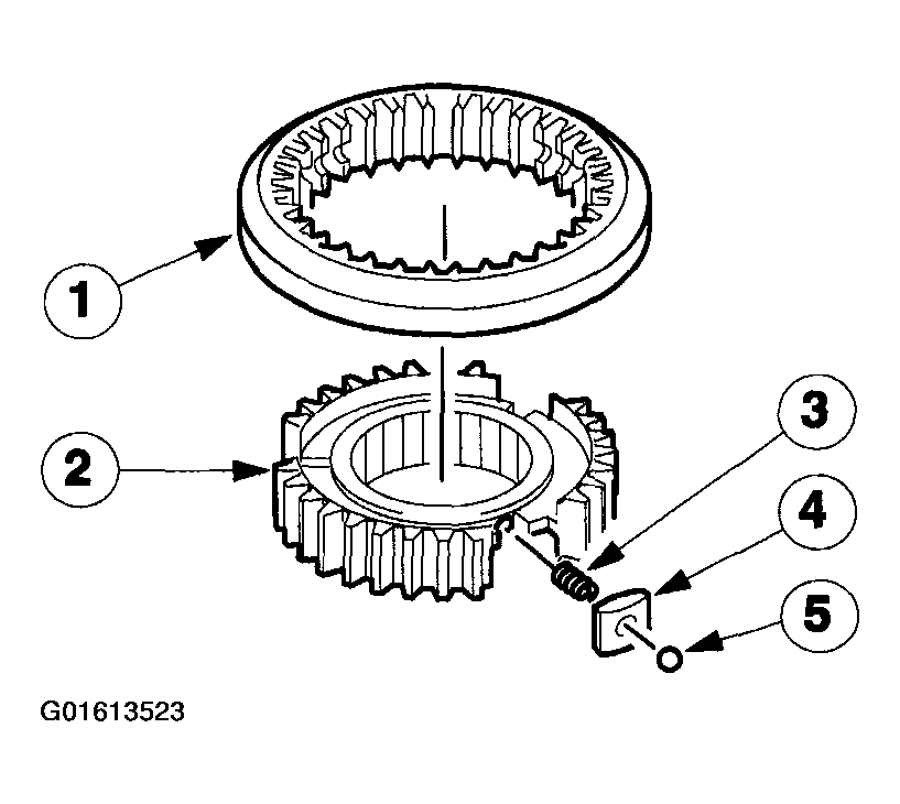 G01613523