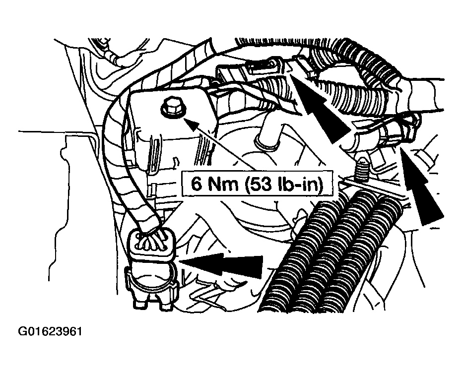 G01623961