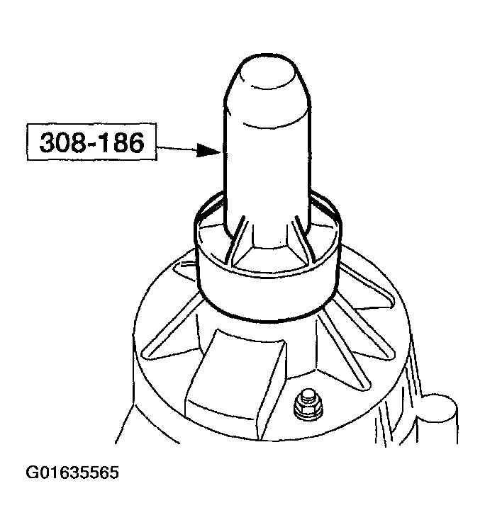 G01635565