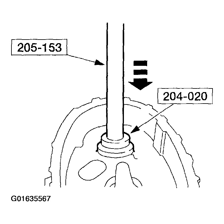 G01635567